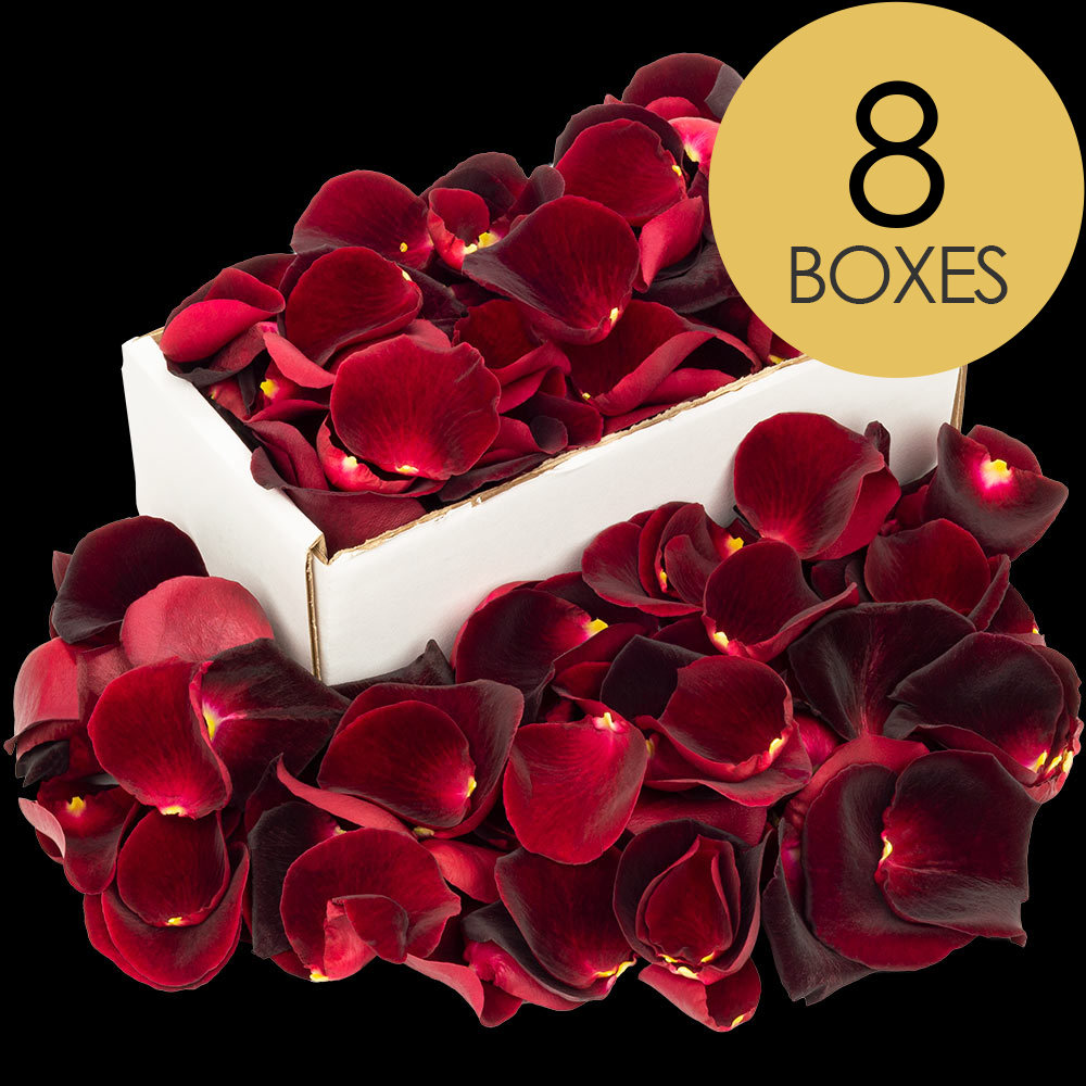 8 Boxes of Black Baccara Rose Petals
