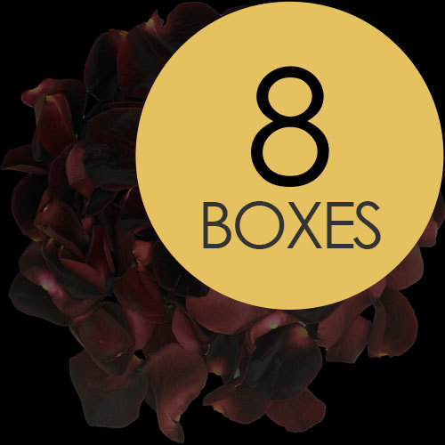 8 Boxes of Black Rose Petals