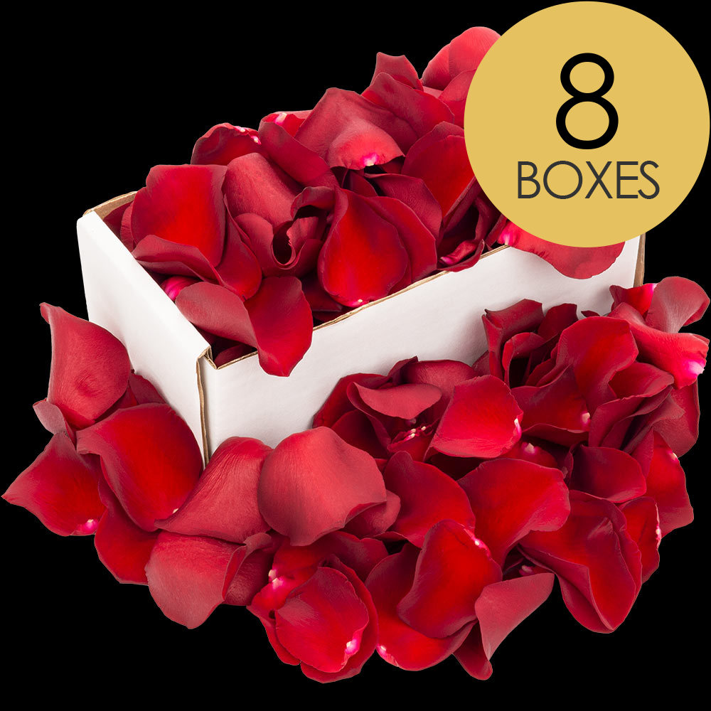 8 Boxes of Red Rose Petals