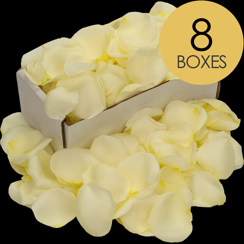 8 Boxes of White Rose Petals