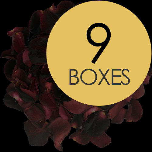 9 Boxes of Black Rose Petals