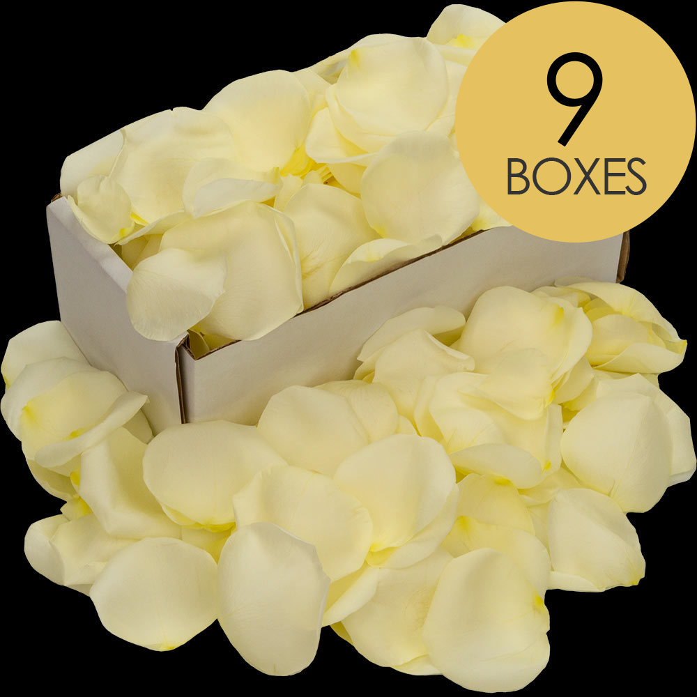 9 Boxes of White Rose Petals