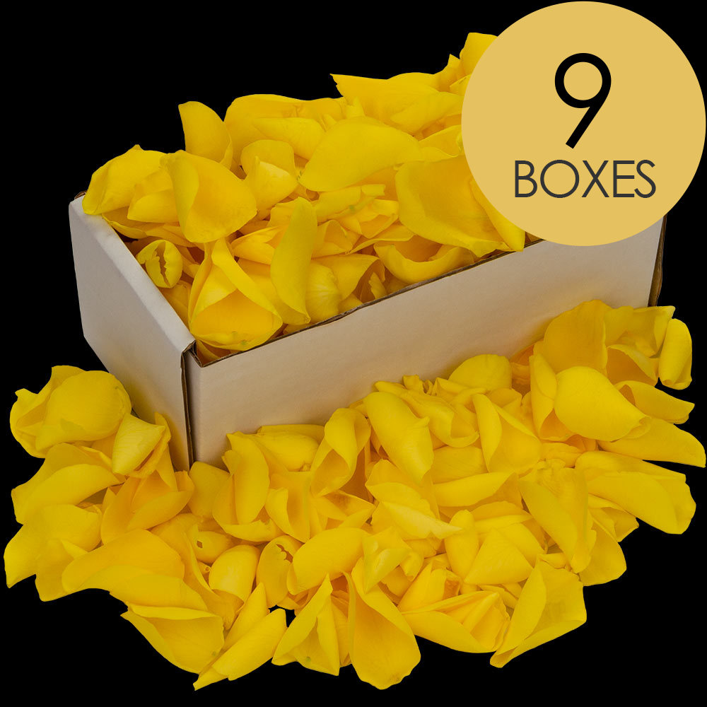9 Boxes of Yellow Rose Petals