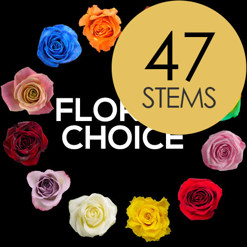 47 Florist Choice Roses