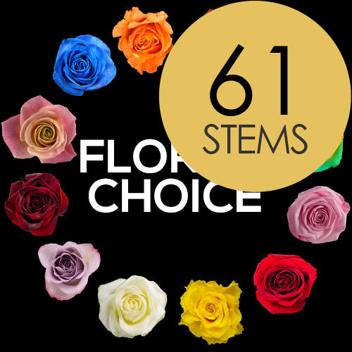 61 Florist Choice Roses