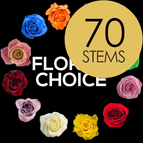 70 Florist Choice Roses