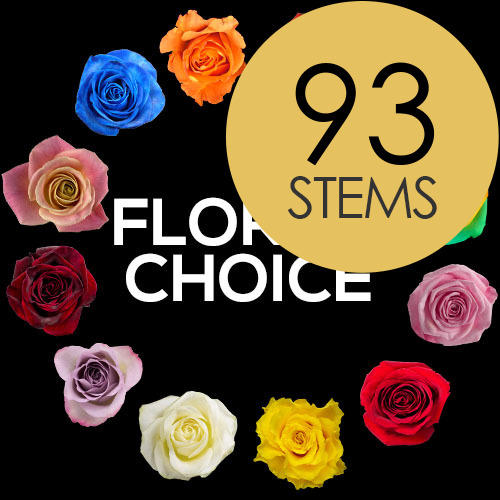 93 Florist Choice Roses