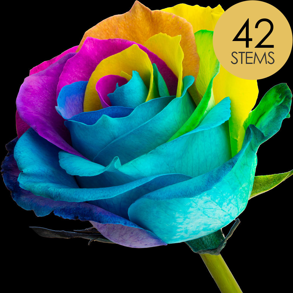 42 Happy (Rainbow) Roses