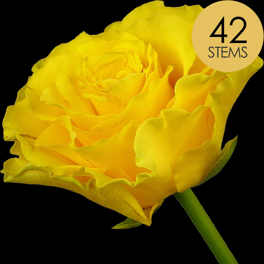 42 Yellow Roses