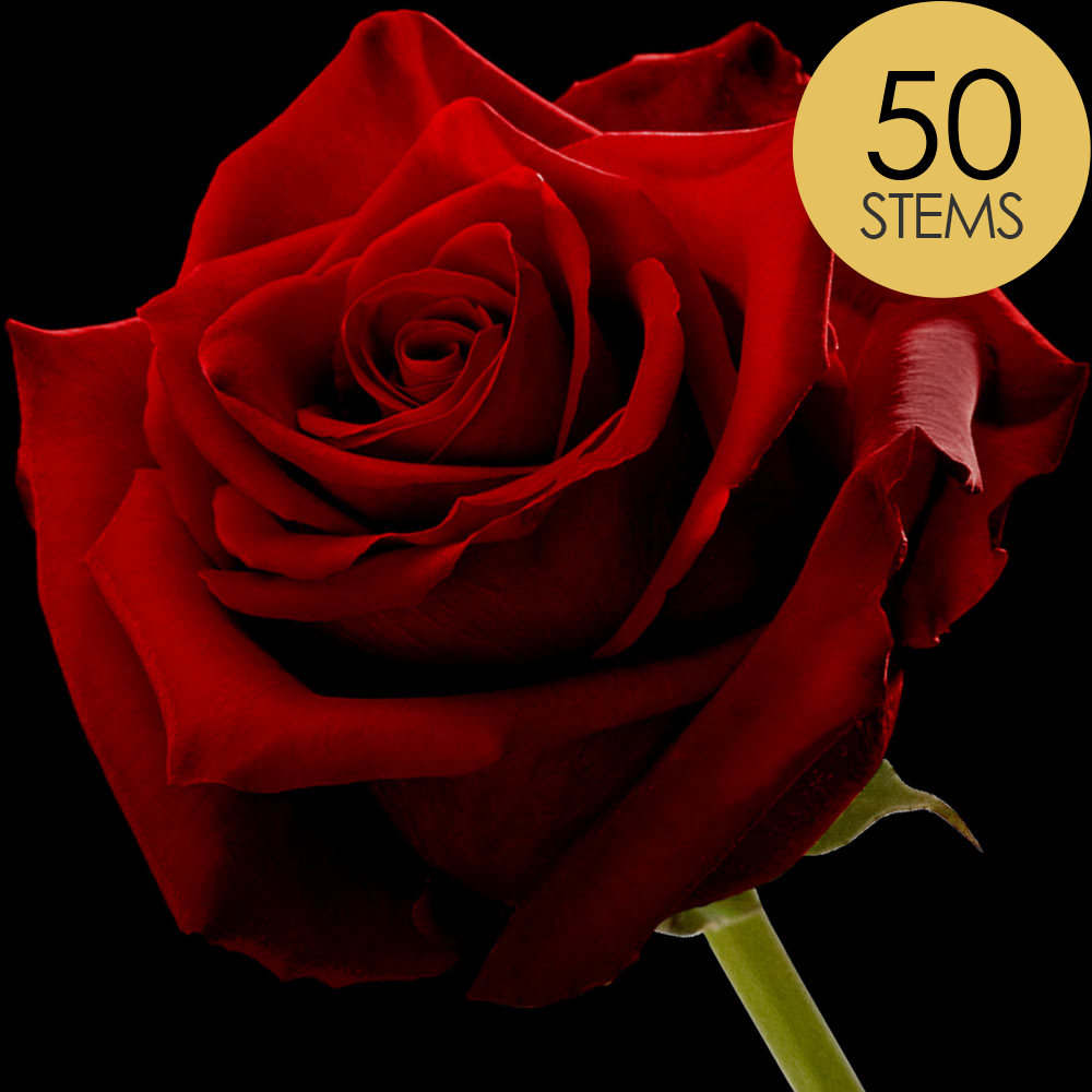 50 Red (Naomi) Roses