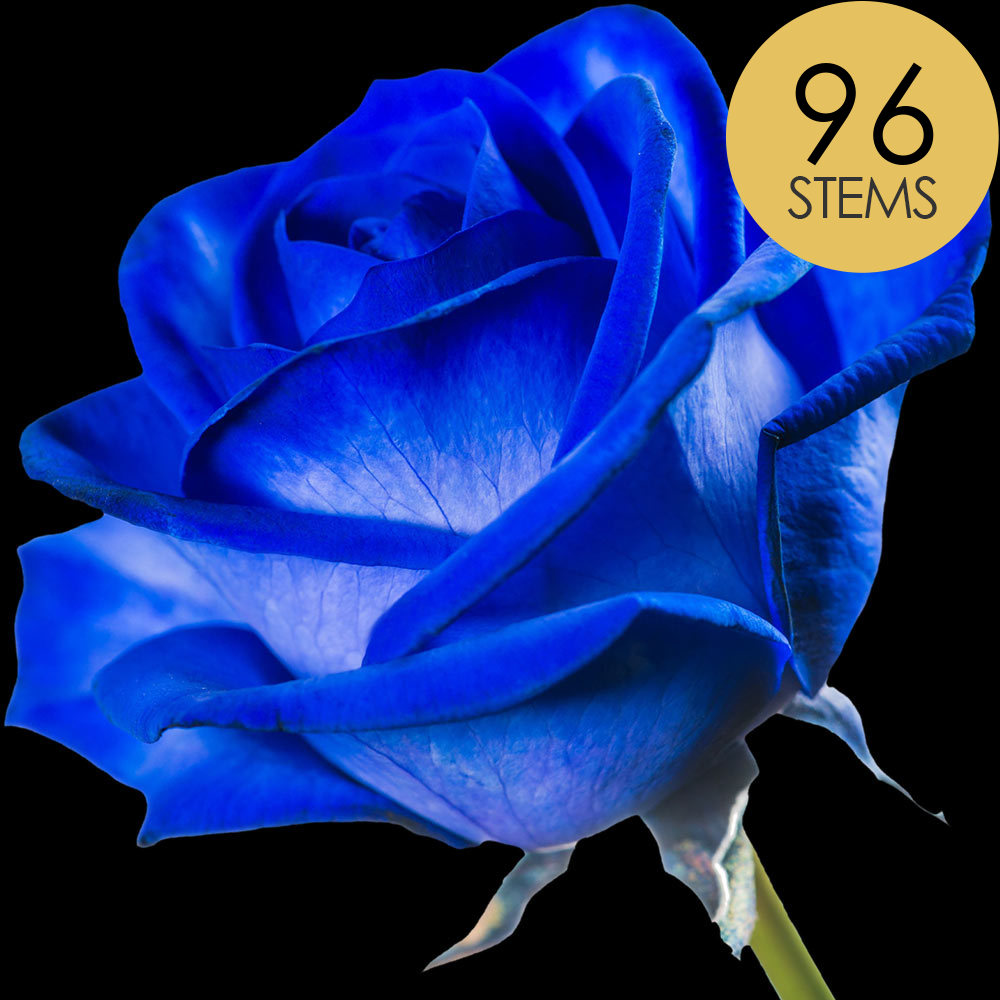 96 Blue (Dyed) Roses