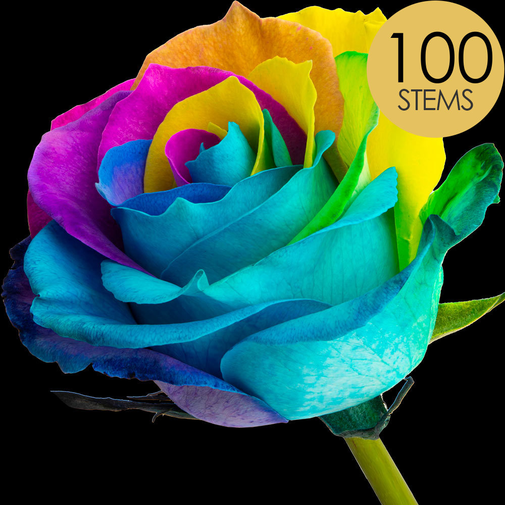 100 Happy (Rainbow) Roses