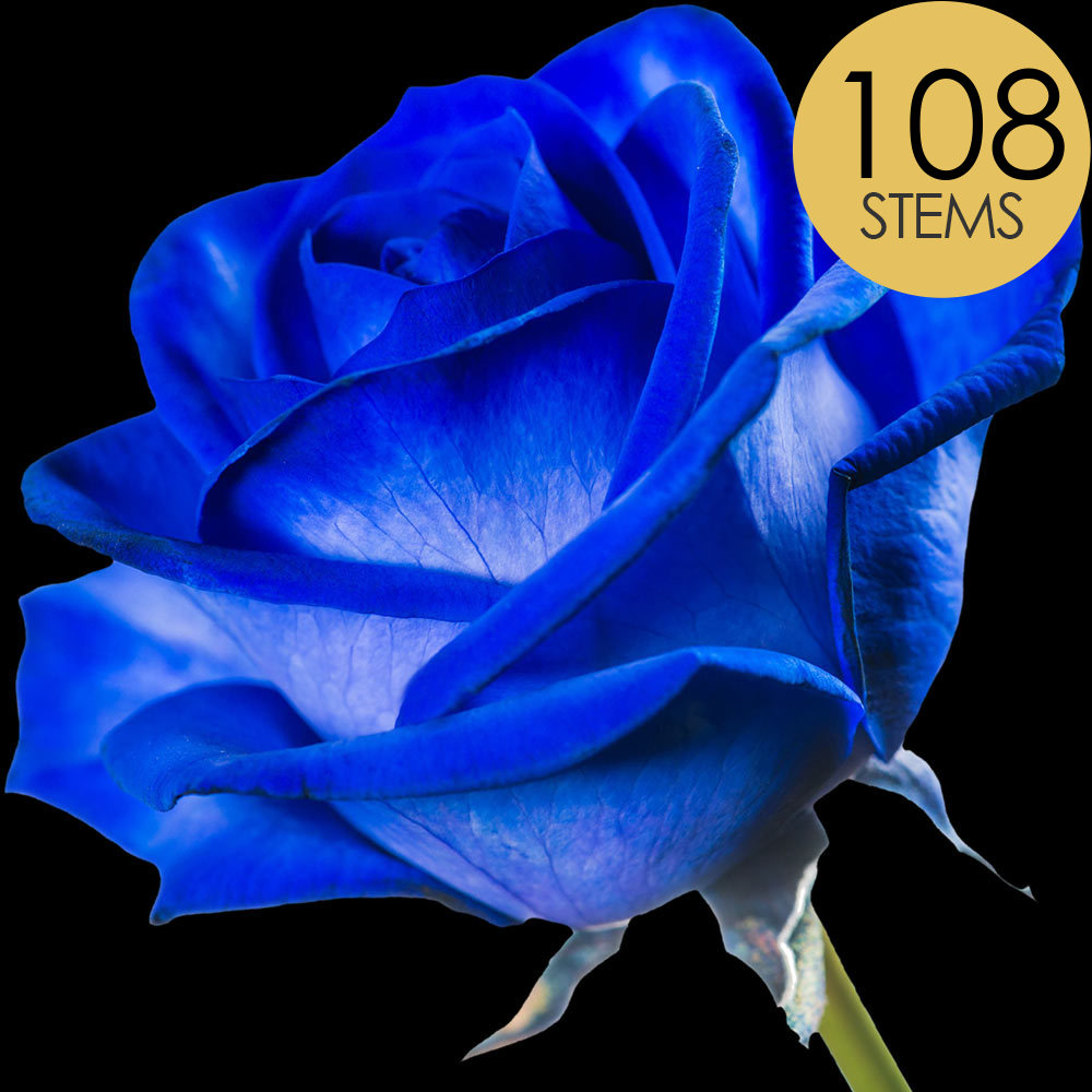 108 Blue (Dyed) Roses