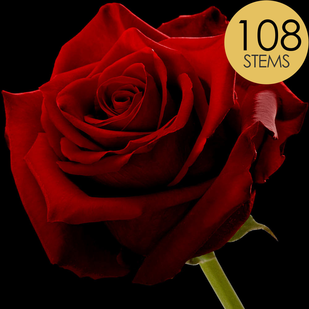 108 Wholesale Red Naomi Roses