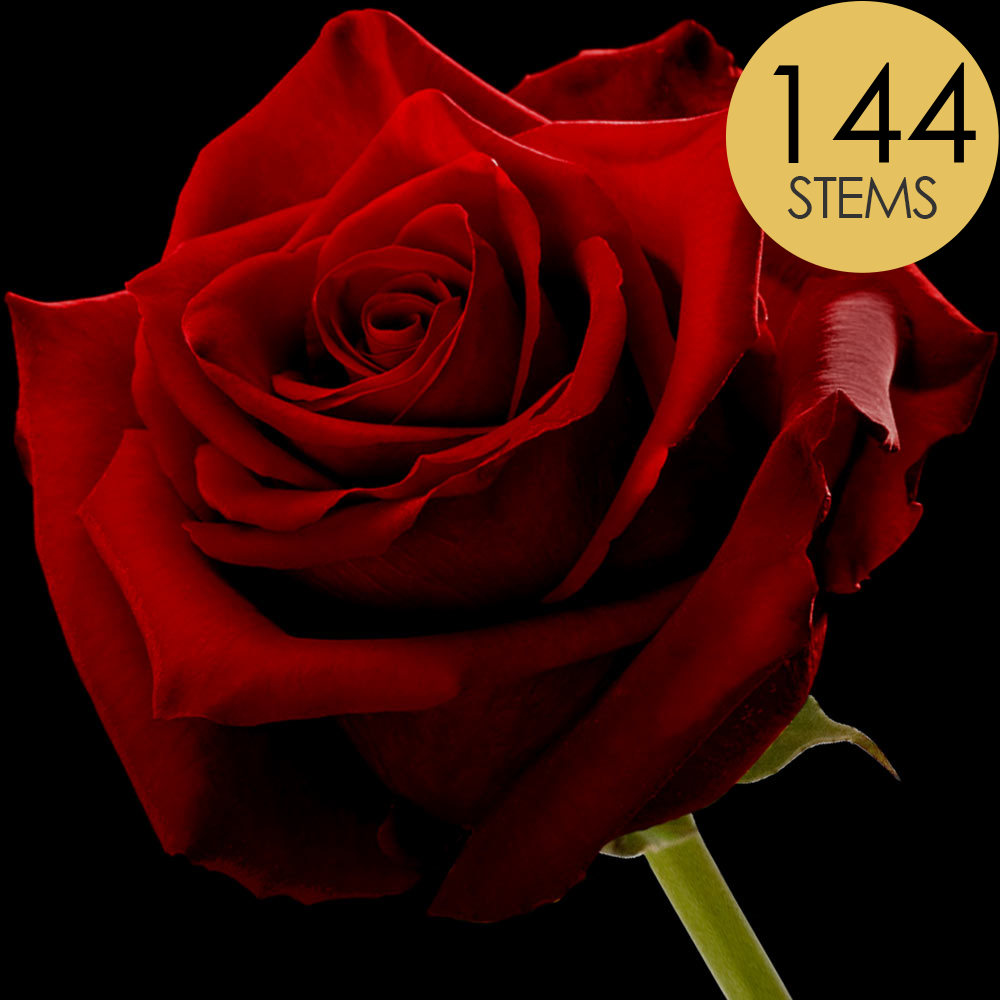 144 Bulk Red (Naomi) Roses