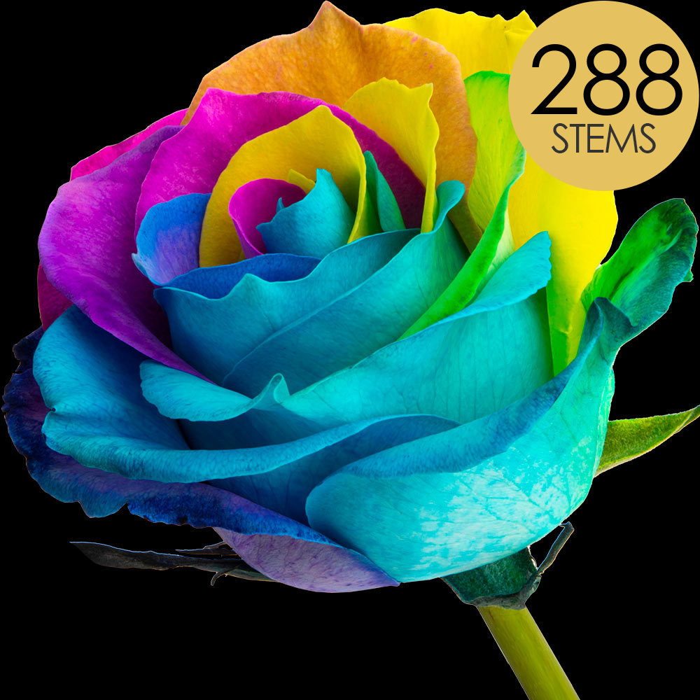 288 Bulk Happy (Rainbow) Roses