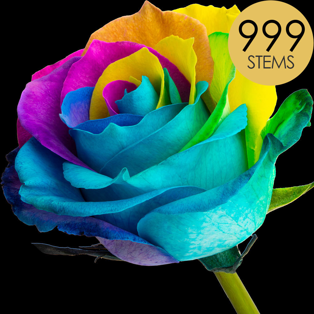999 Bulk Happy (Rainbow) Roses