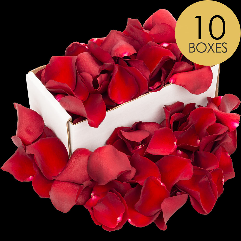 10 Boxes of Red (Naomi) Rose Petals
