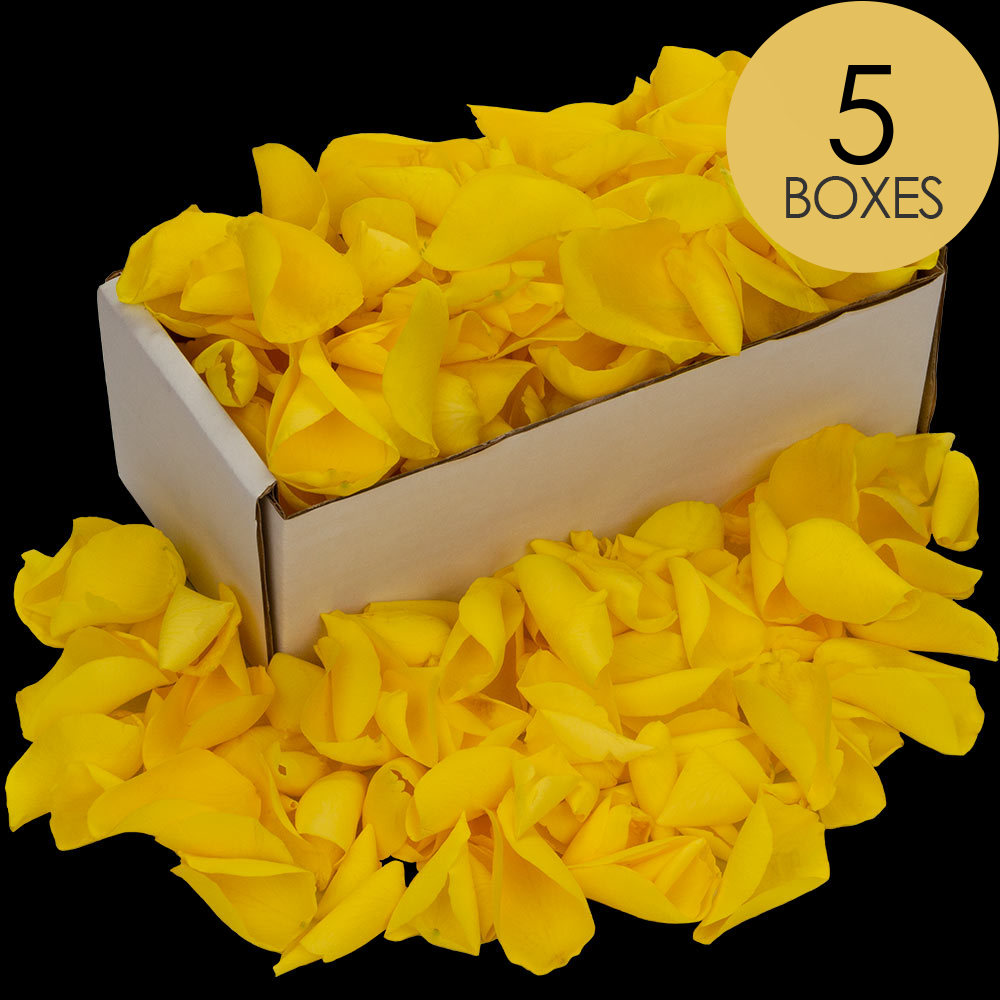 5 Boxes of Yellow Rose Petals