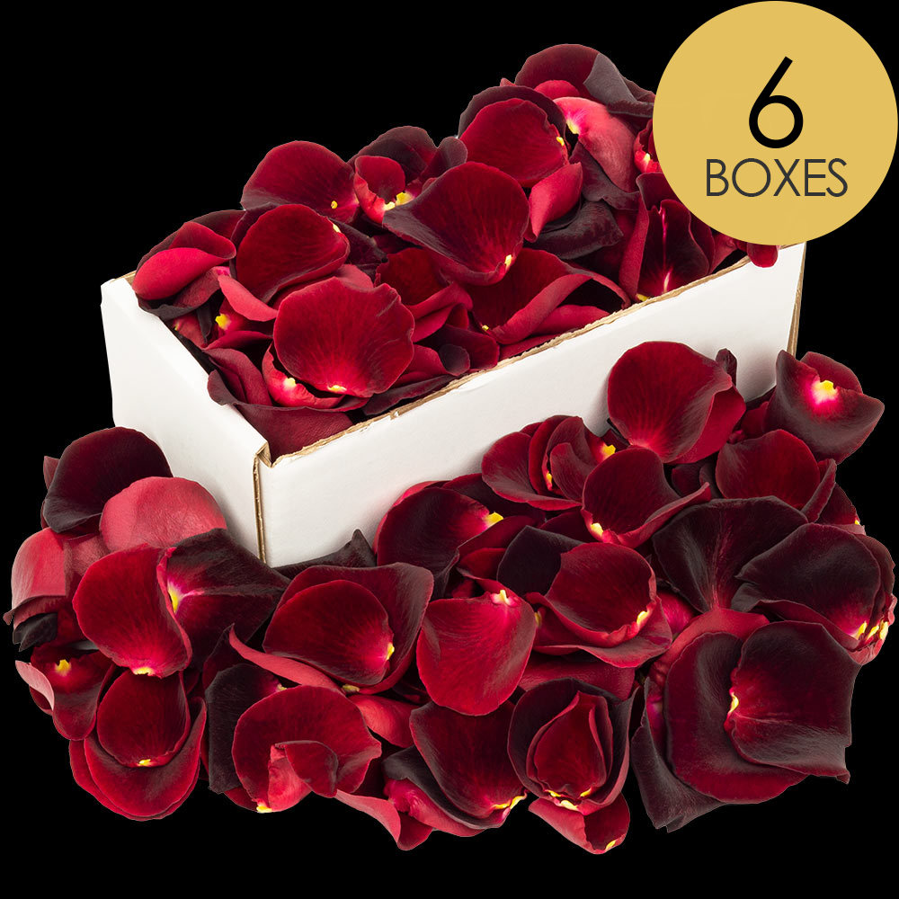 6 Boxes of Black Baccara Rose Petals
