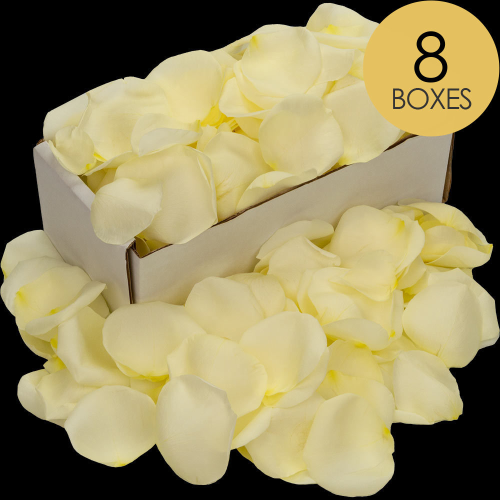 8 Boxes of White (Avalanche) Rose Petals