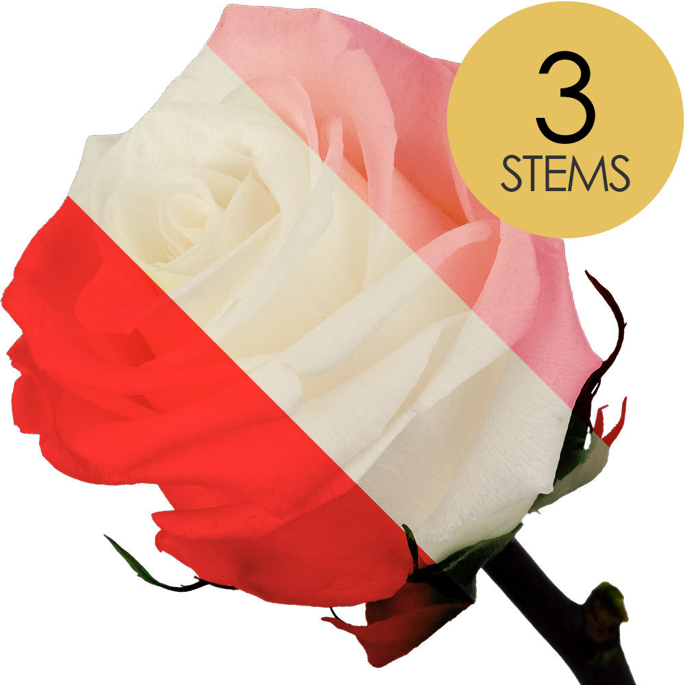 3 Luxury Infinity Customised Roses