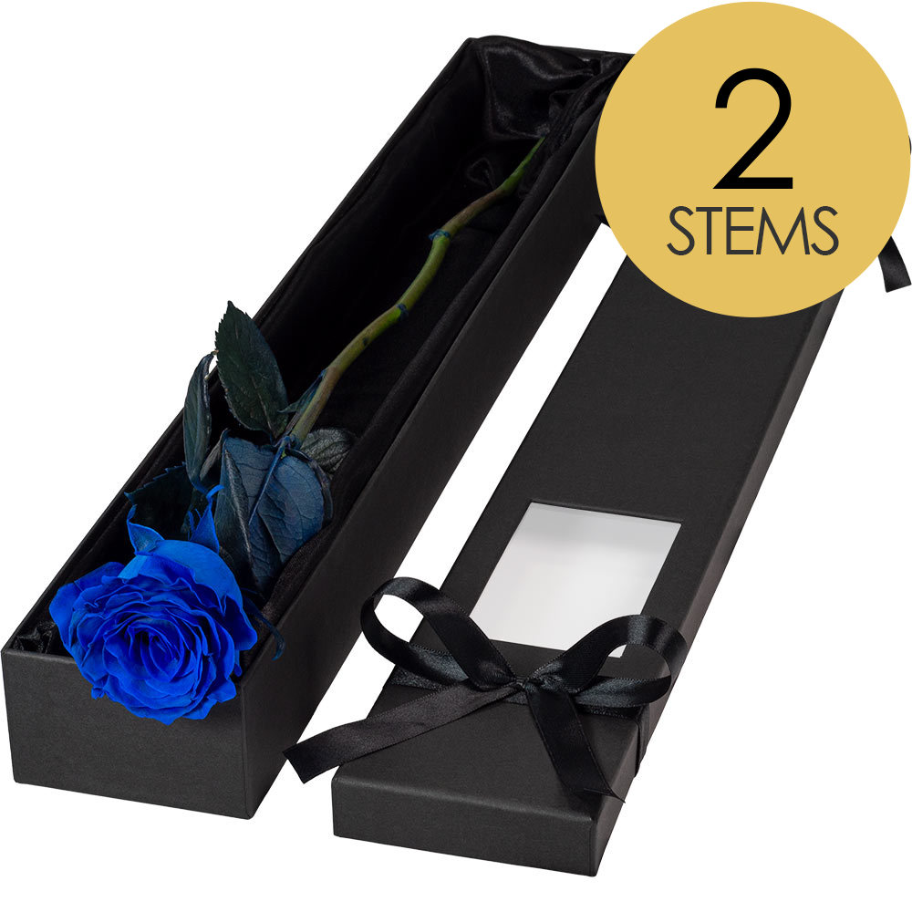 2 Extra Long Luxury Blue Roses