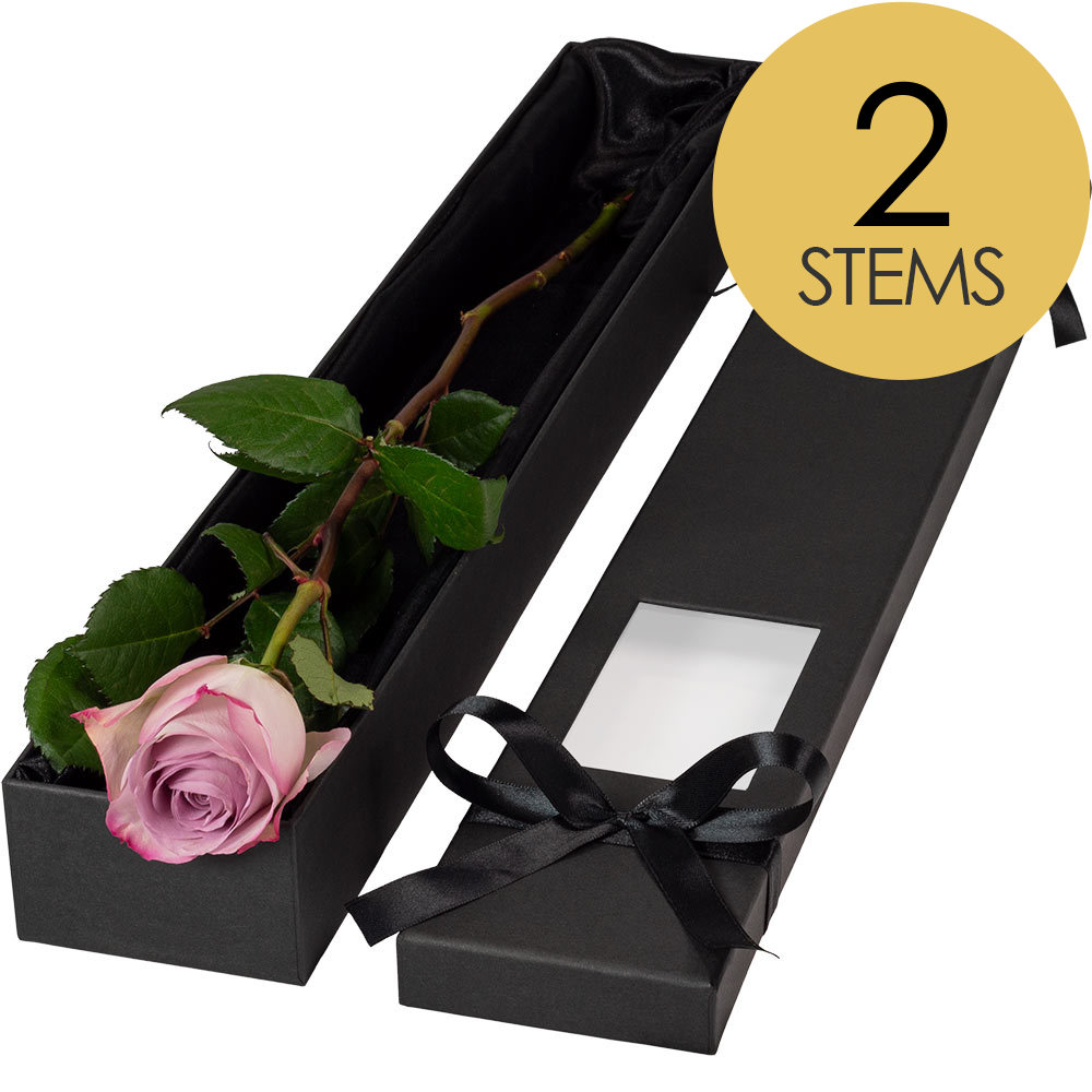 2 Extra Long Luxury Lilac Roses