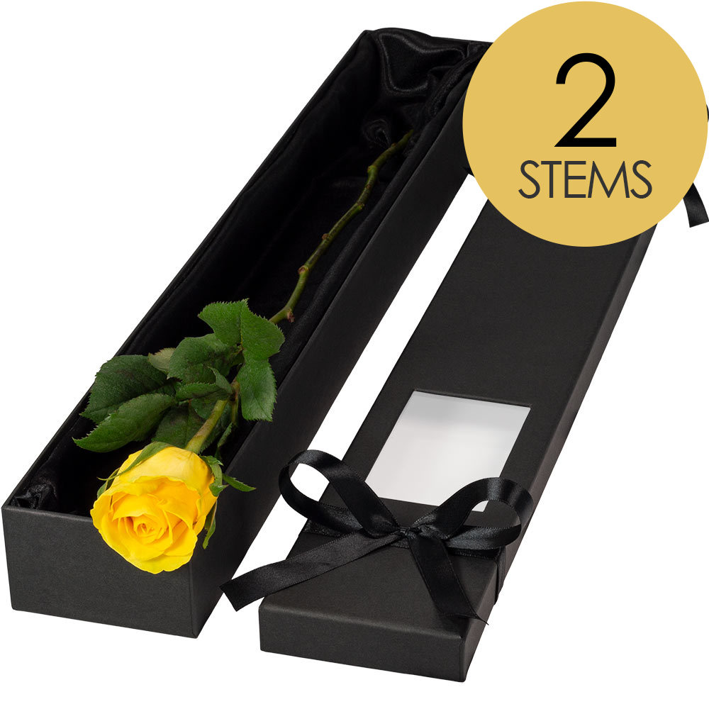 2 Extra Long Luxury Yellow Roses