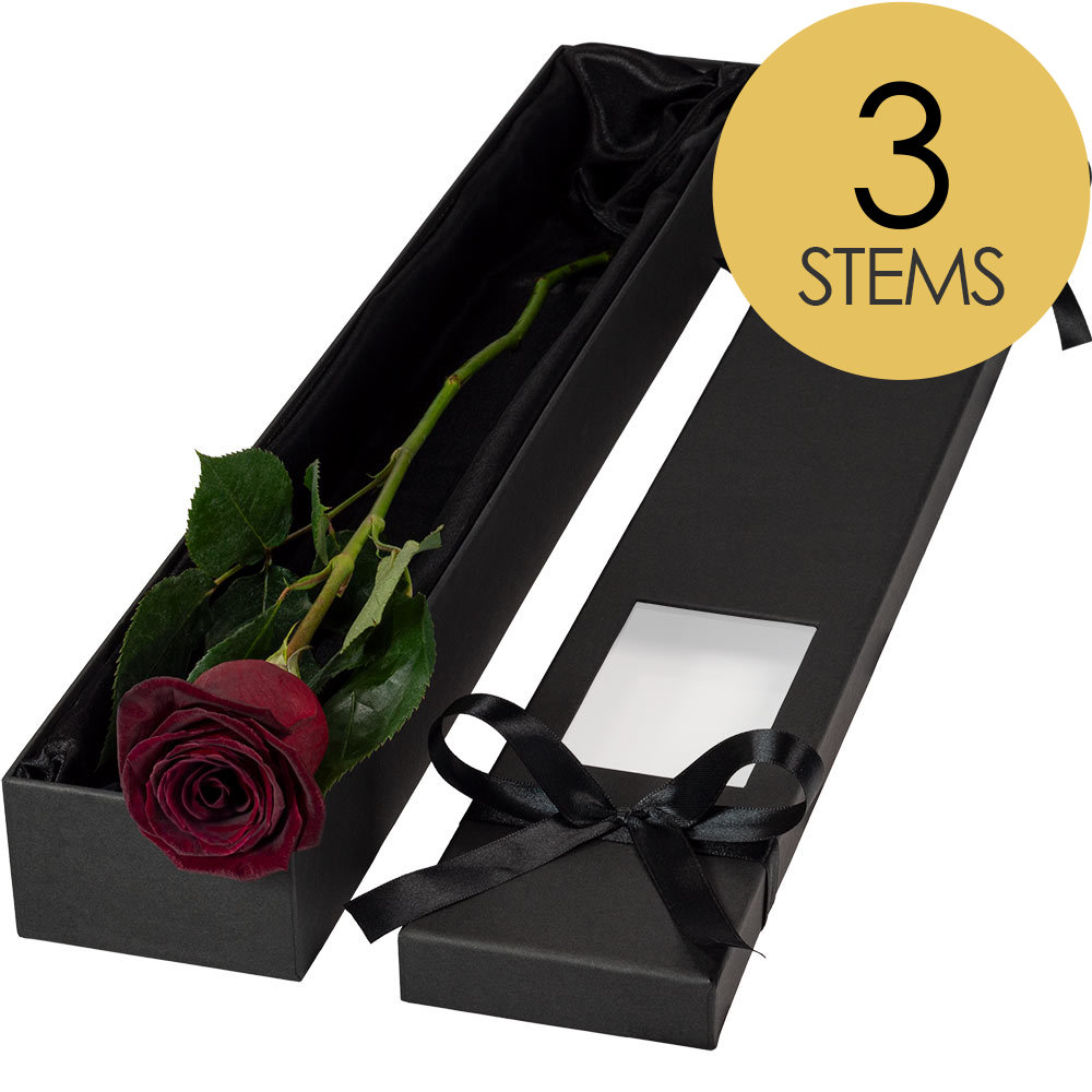 3 Extra Long Luxury Black Baccara Roses