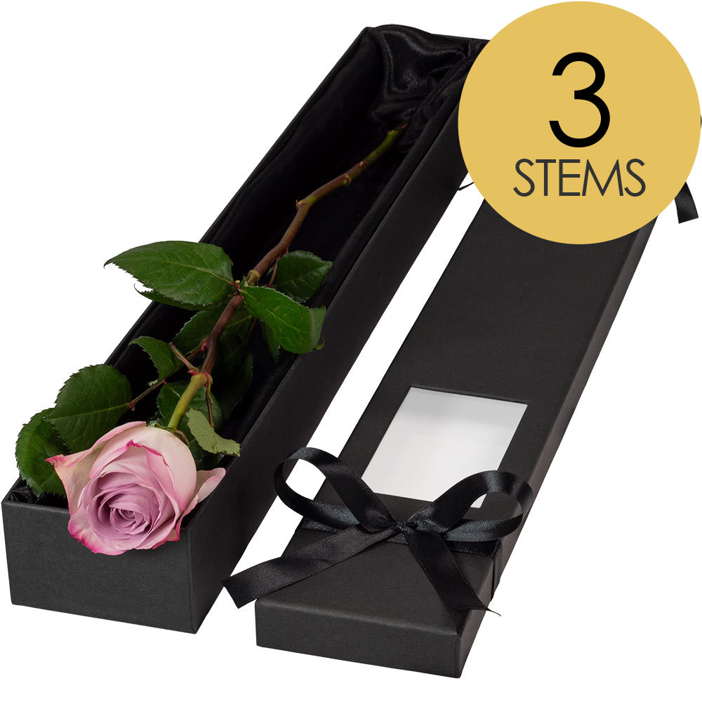 3 Extra Long Luxury Lilac Roses