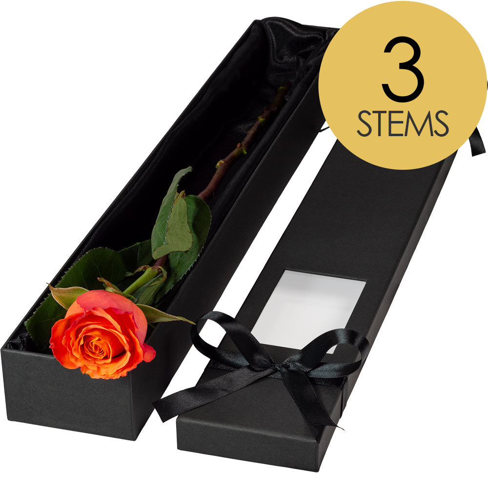 3 Extra Long Luxury Orange Roses