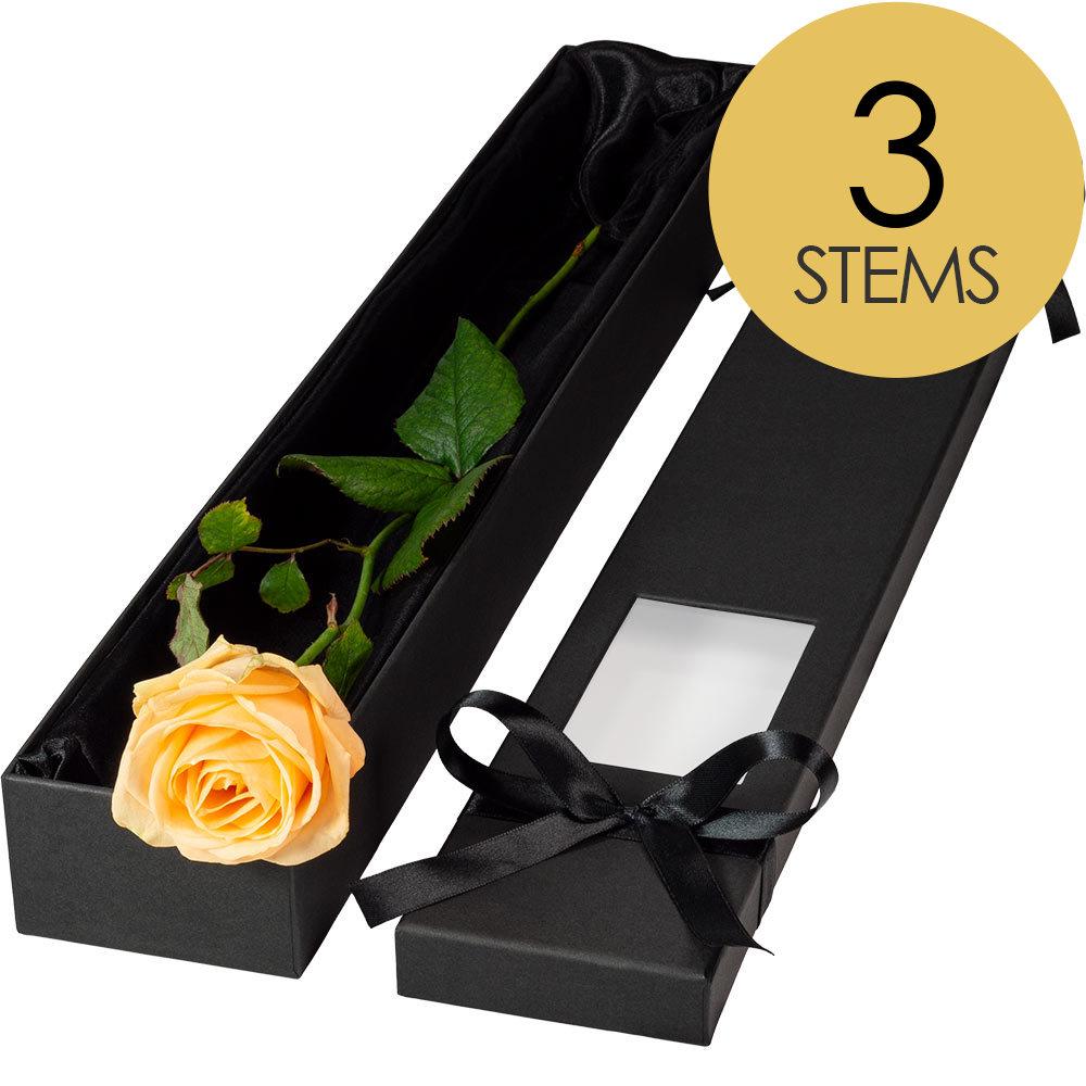 3 Extra Long Luxury Peach Roses