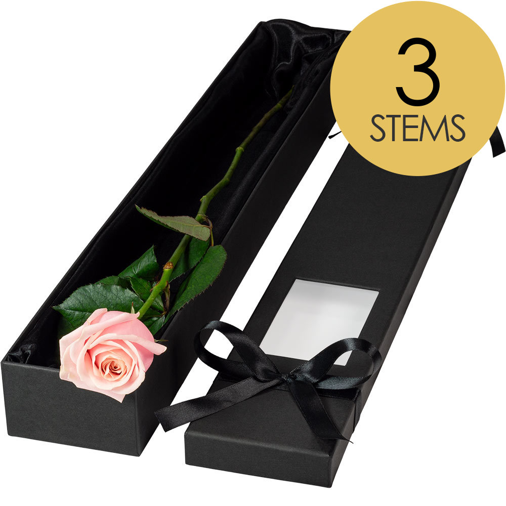 3 Extra Long Luxury Pink Roses