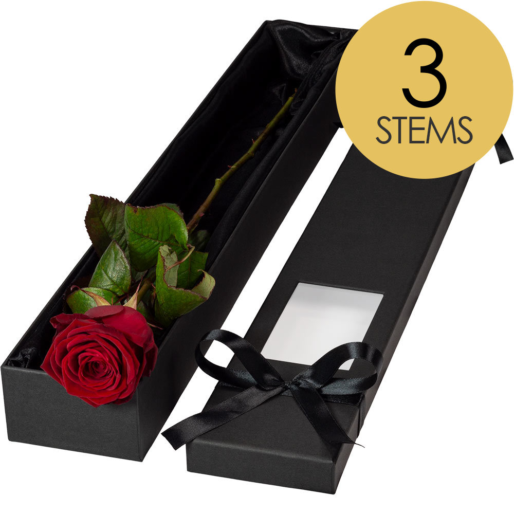 3 Extra Long Luxury Red Roses