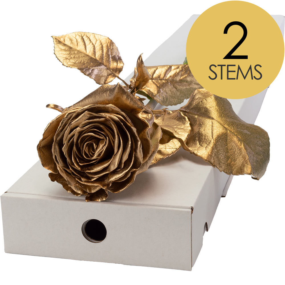 2 Letterbox Gold (Sprayed) Roses