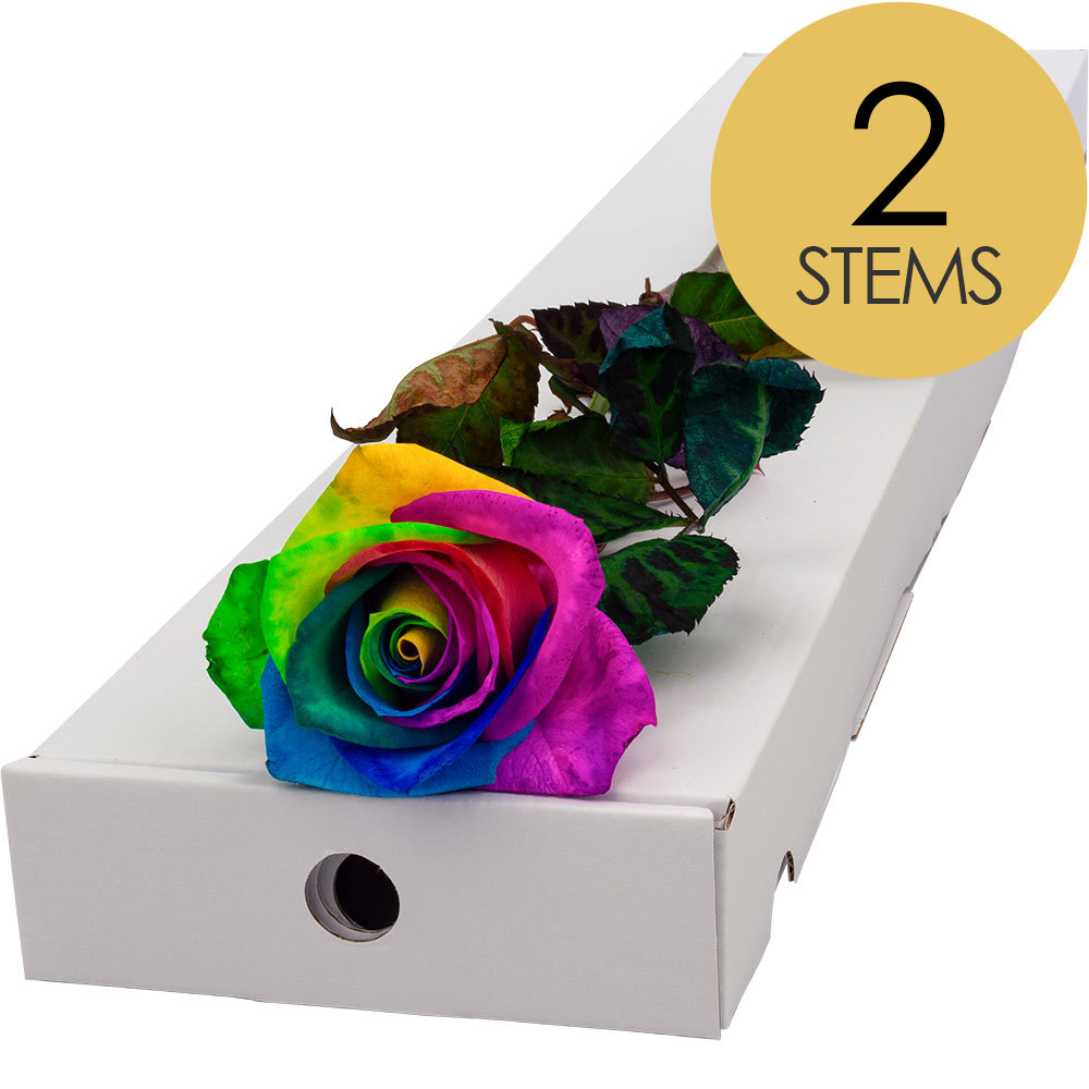 2 Letterbox Happy (Rainbow) Roses