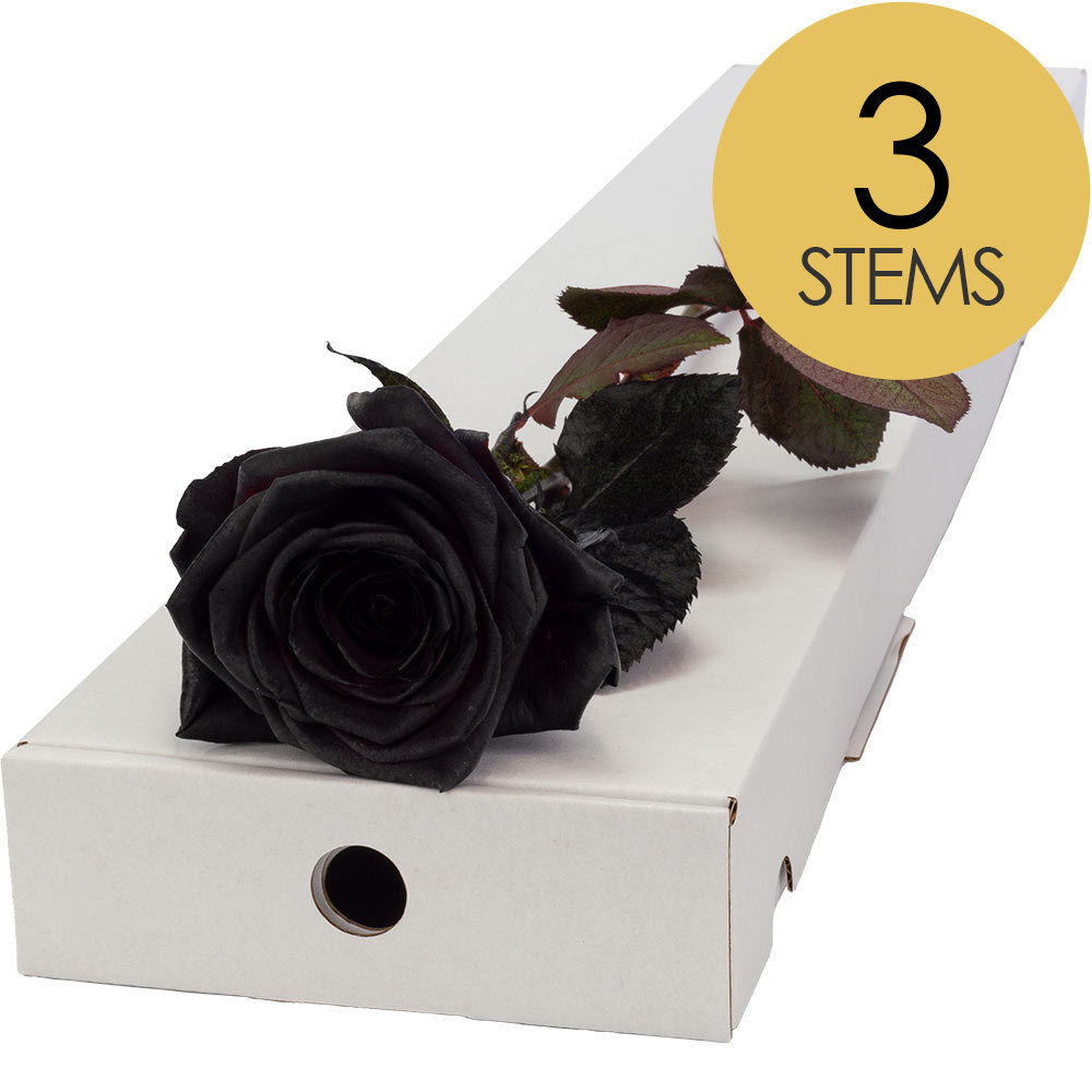 3 Letterbox Black (Painted) Roses