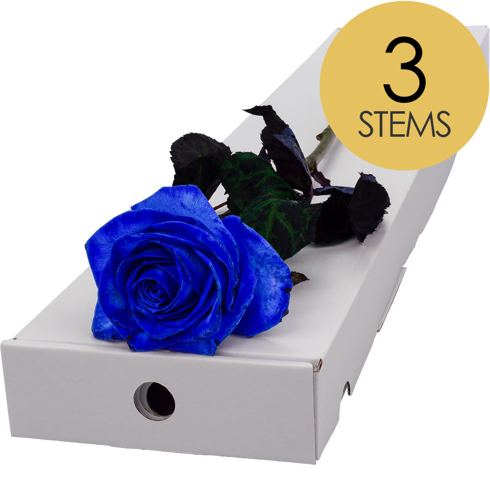 3 Letterbox Blue (Dyed) Roses