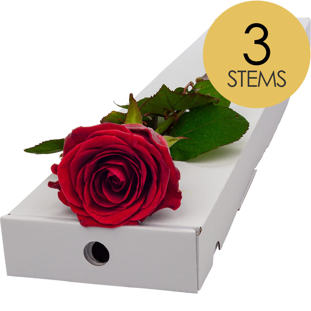 3 Letterbox Red Roses