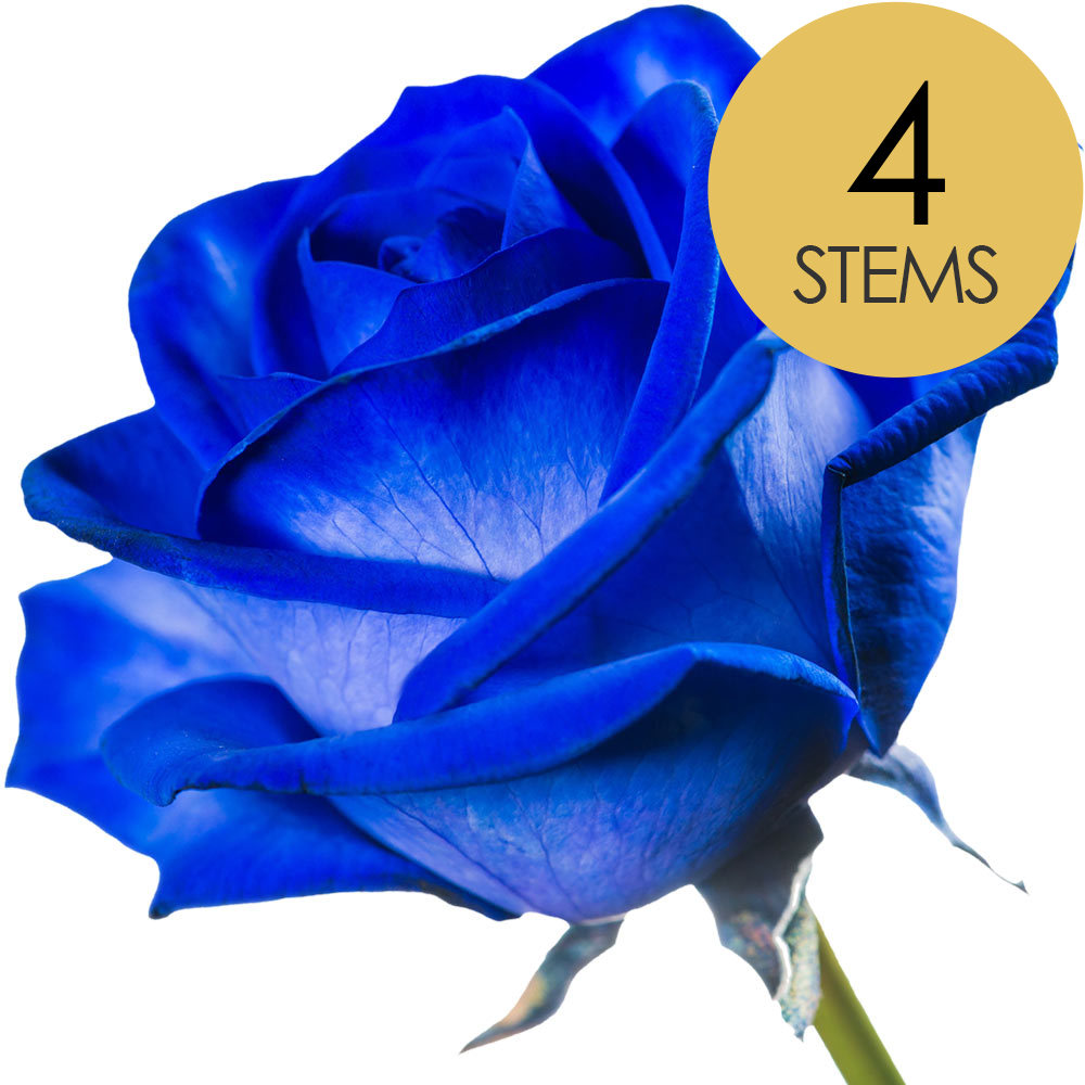 4 Blue (Dyed) Roses