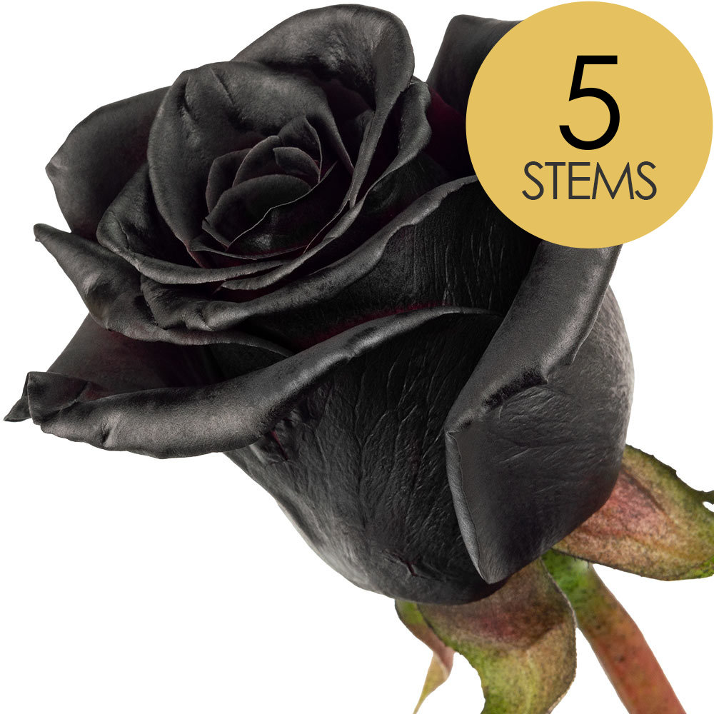 5 Black (Painted) Roses