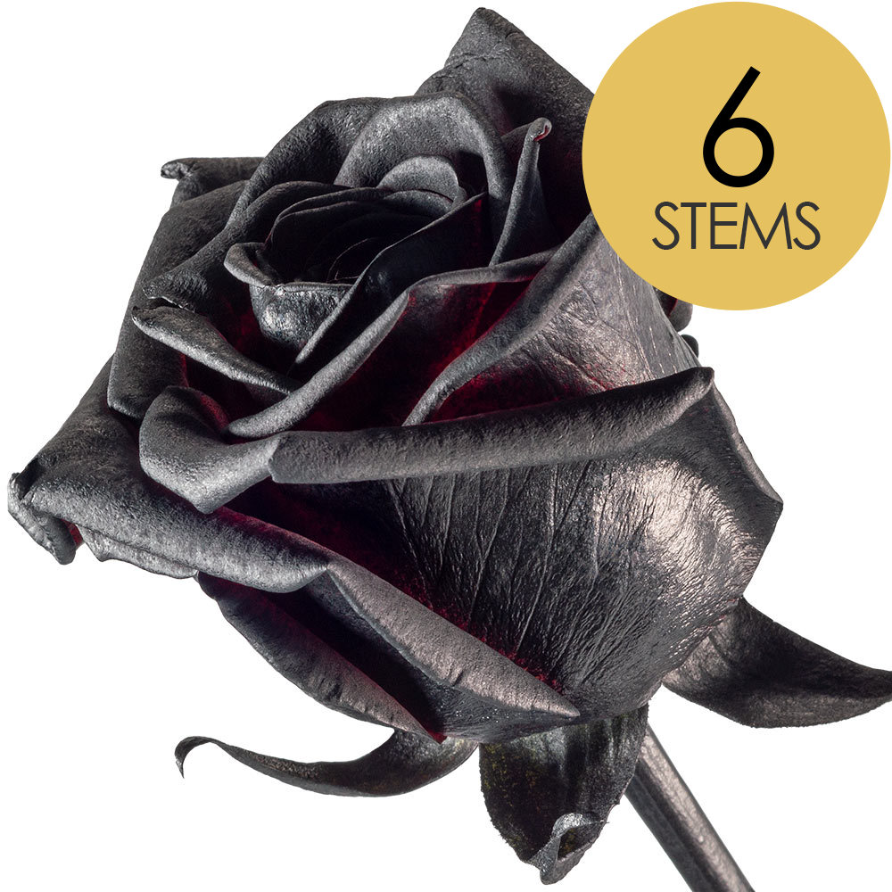 6 Black Roses