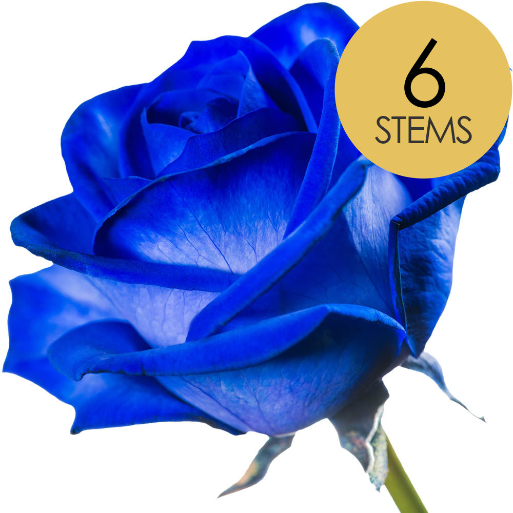 6 Blue (Dyed) Roses