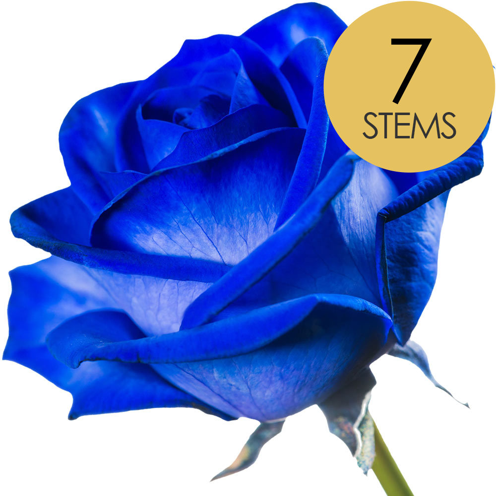 7 Blue (Dyed) Roses