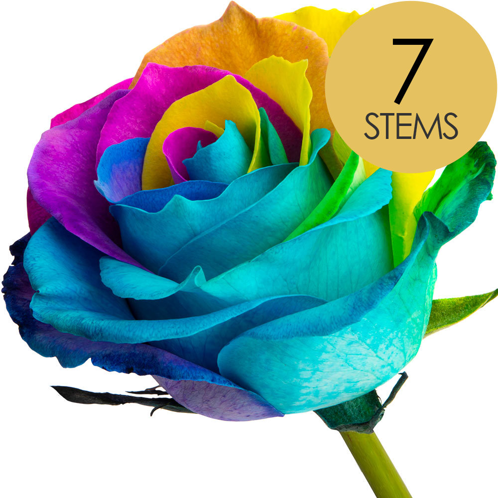 7 Happy (Rainbow) Roses