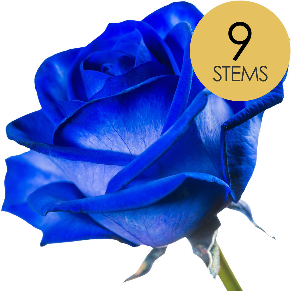 9 Blue (Dyed) Roses