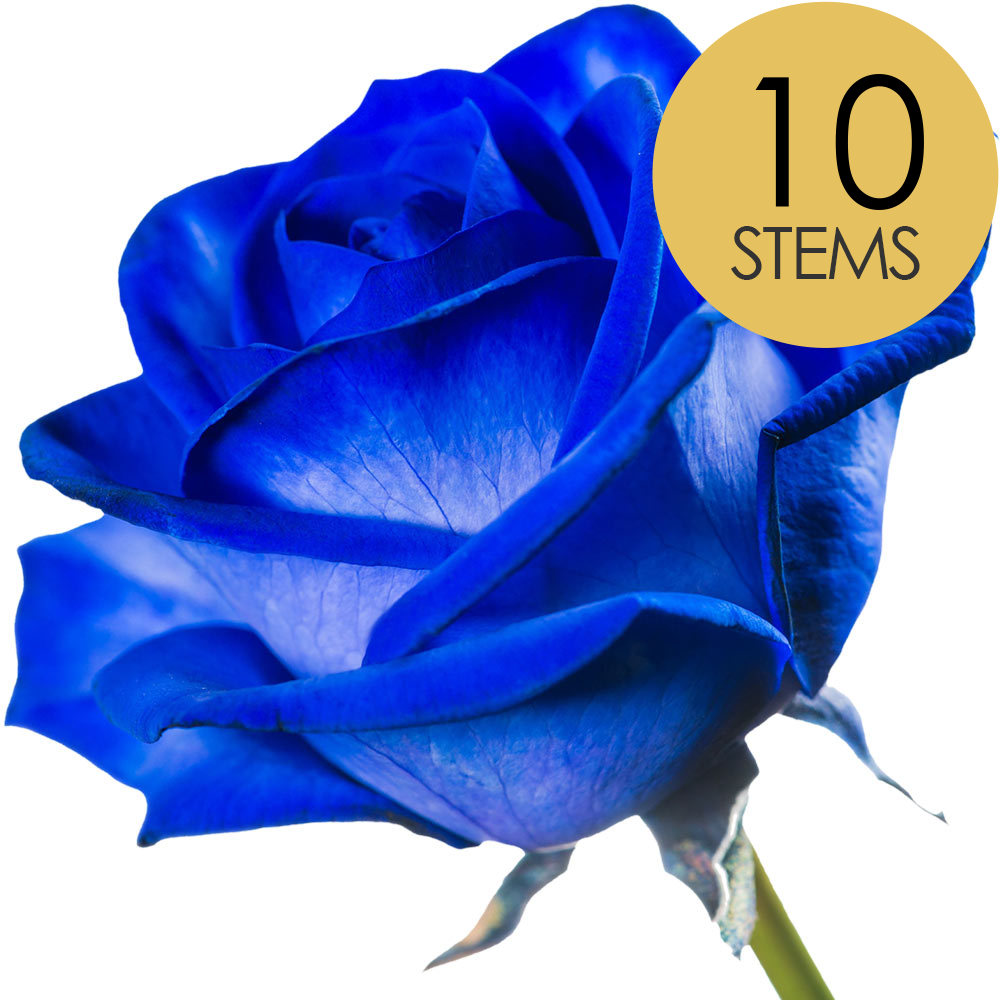 10 Blue (Dyed) Roses