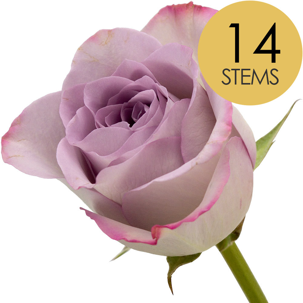 14 Roses Bouquet of 14 Roses - Chosen by colour, Delivered by Interrose