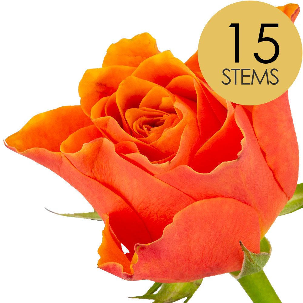 15 Orange Roses